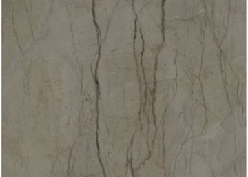 MathrA Silver Roots
